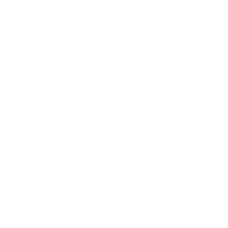 CHAMPIONS LEAGUE
